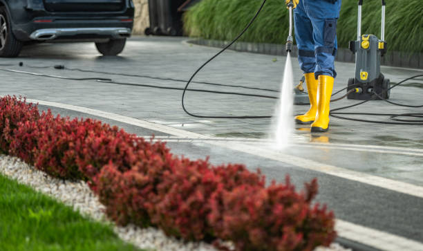 Best Sidewalk and Walkway Cleaning  in Lula, GA